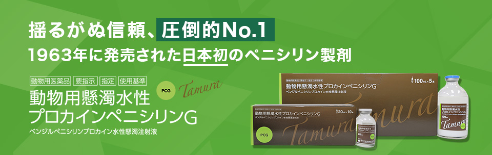 プロカインペニシリンG