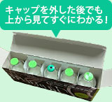 リケンイソフルラン