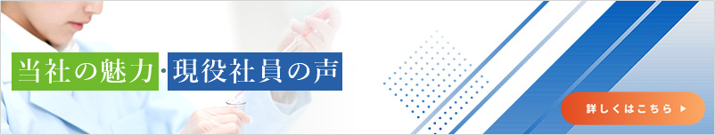 当社の魅力・現役社員の声