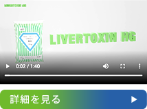 製品動画